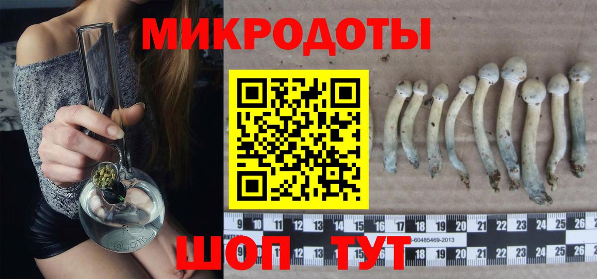 Псилоцибиновые грибы мицелий  Вход с VPN  Псилоцибиновые грибы MAGIC MUSHROOMS  Подольск 