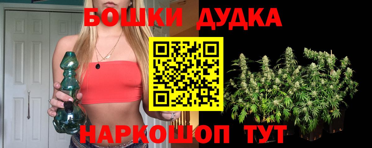 Подольск  Бошки Шишки планчик  Вход с VPN  Конопля Ganja  Бошки Шишки ГИДРОПОН 